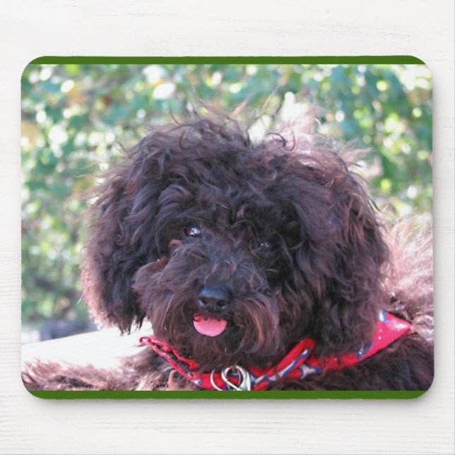 Black Miniature Poodle - JoJo Mouse Pad (Front)