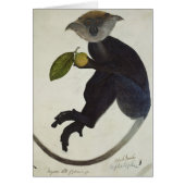 Black Monkey (Front)