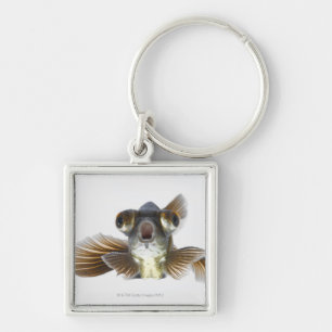 Black moor goldfish (Carassius auratus) Keychain