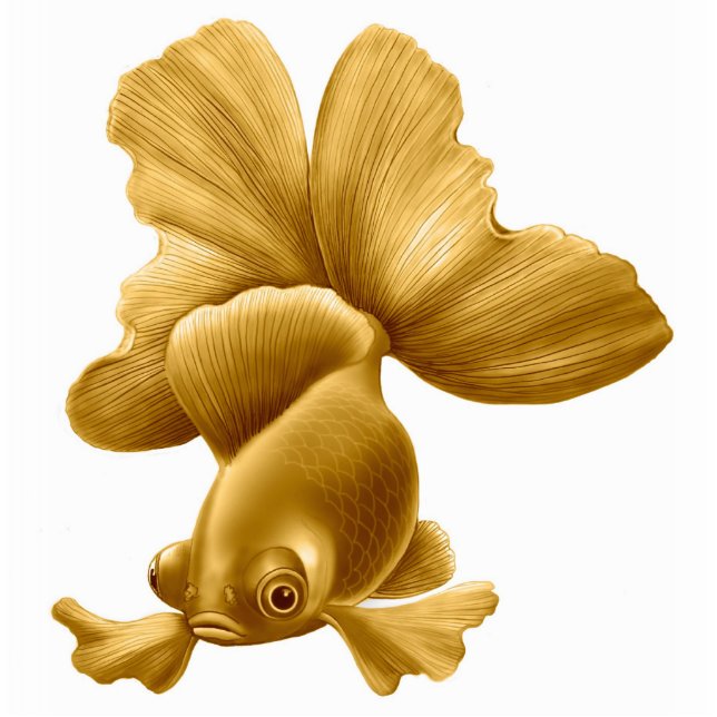 Black Moor Goldfish Ornament (Front)