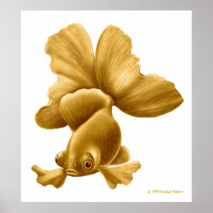 Black Moor Goldfish Print