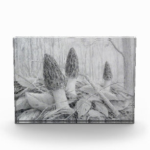 Black Morel Mushroom photo block