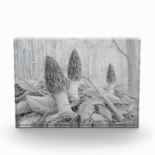 Black Morel Mushroom photo block (Front)