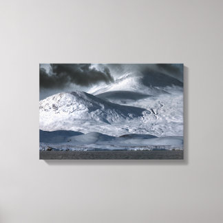 Black Mount Deer Rannoch Moor Canvas Print