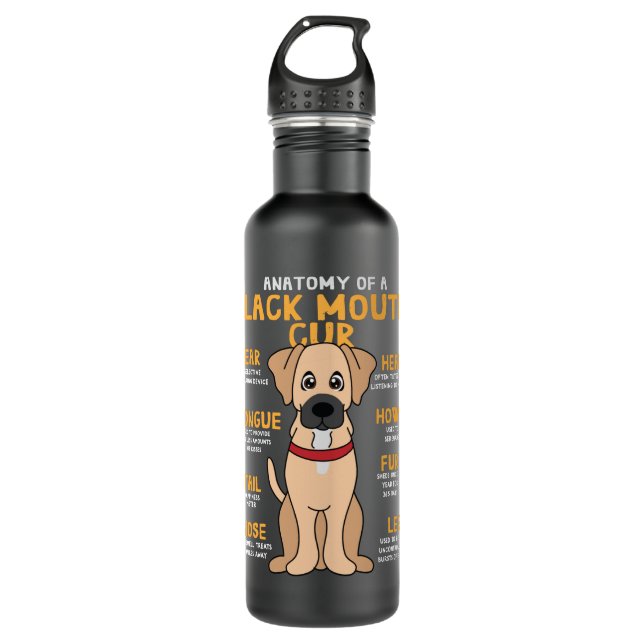 Black Mouth Cur Anatomy Funny Dog Mom Dad Cute Gif Stainless Steel Water Bottle (Front)