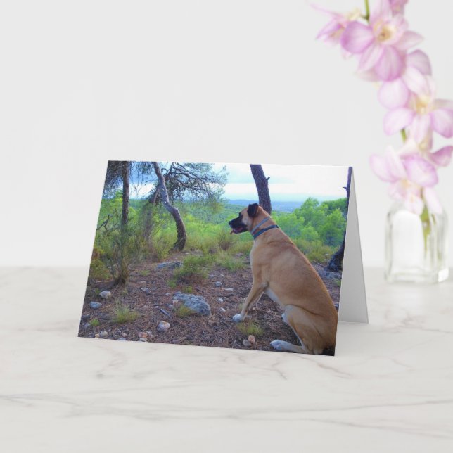 Black Mouth Cur Dog in Forest Card (Orchid)