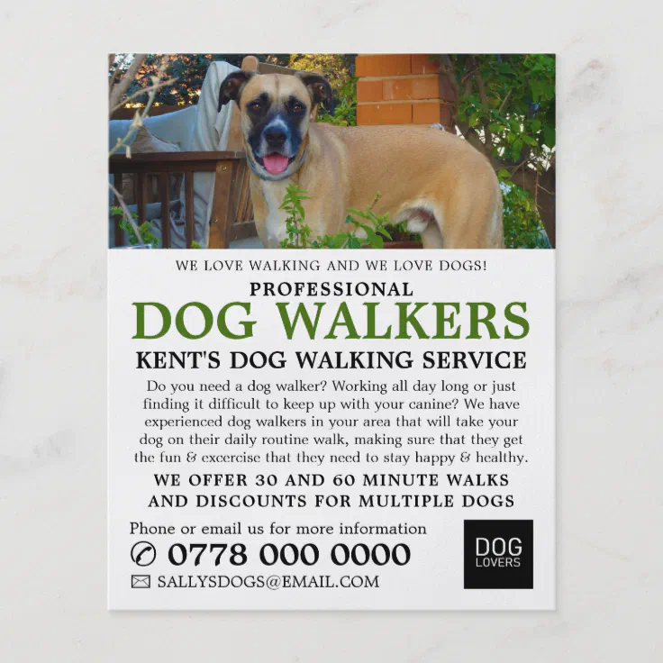 Black Mouth Cur, Dog Walker Service Advertising Flyer | Zazzle