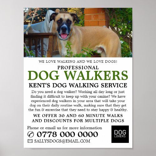 Black Mouth Cur Dog Walker Service Advertising Poster