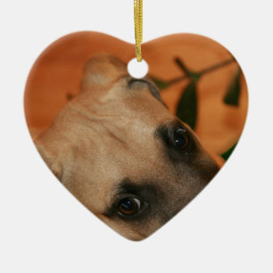 Black-mouth cur puppy ceramic ornament