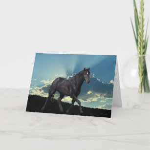 Black Mustang Stallion Folded Greeting Card