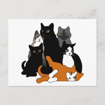 Black 'n' White 'n' Gray 'n' Orange Cats Postcard by ArtDivination at Zazzle