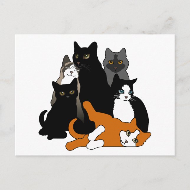 Black 'n' White 'n' Gray 'n' Orange Cats Postcard (Front)