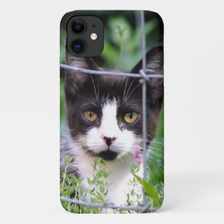 Black n White Tuxedo Kitten in the Garden iPhone 11 Case