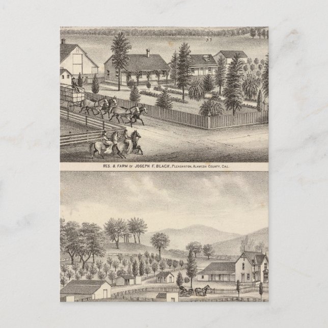 Black, Neal residences, properties Postcard (Front)