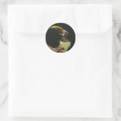 Black-necked aracari Toucan Classic Round Sticker (Bag)