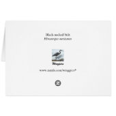 Black-necked Stilt Cards (Back Horizontal)