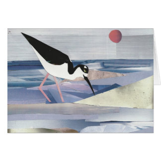 Black-necked Stilt Cards