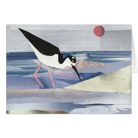 Black-necked Stilt Cards (Front Horizontal)