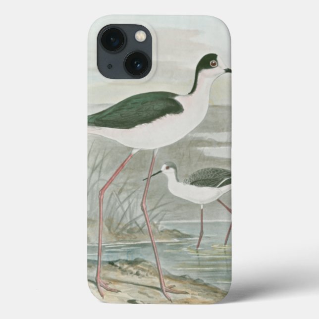 Black-Necked Stilts by the Water Case-Mate iPhone Case (Back)