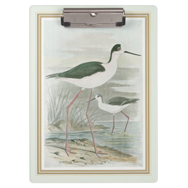 Black-Necked Stilts by the Water Clipboard (Front)