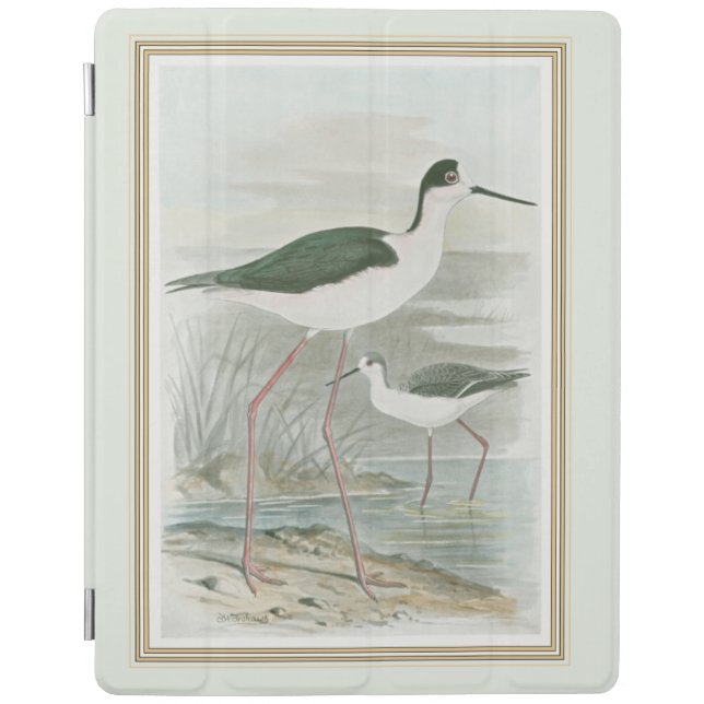 Black-Necked Stilts by the Water iPad Smart Cover (Front)