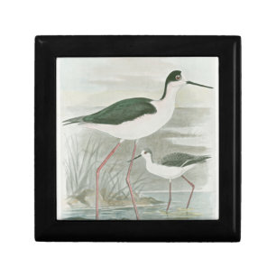 Black-Necked Stilts by the Water Jewelry Box