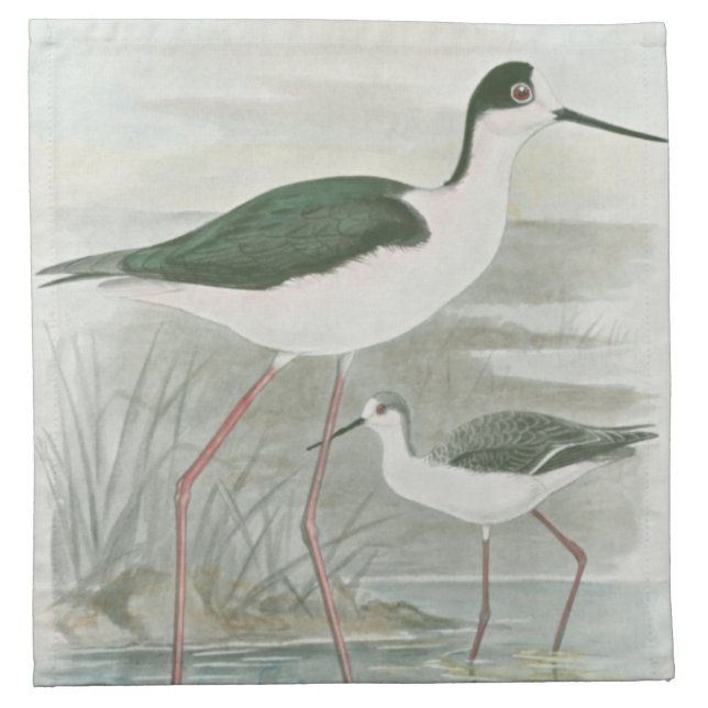 Black-Necked Stilts by the Water Napkin (Front)