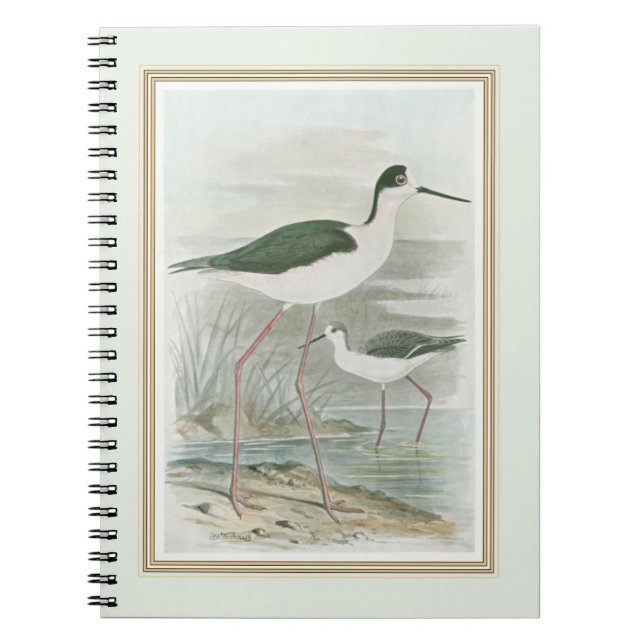 Black-Necked Stilts by the Water Notebook (Front)