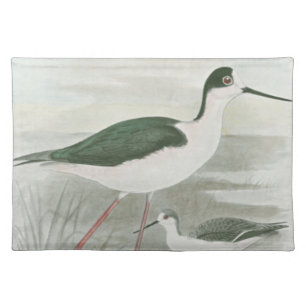 Black-Necked Stilts by the Water Placemat