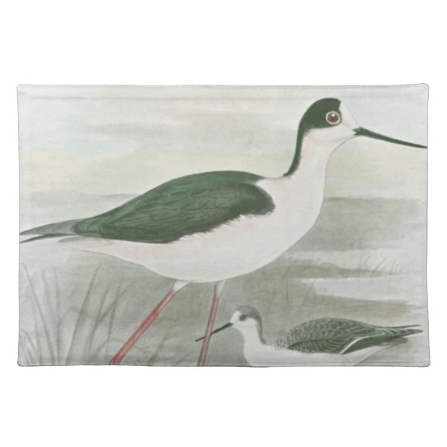 Black-Necked Stilts by the Water Placemat (Front)