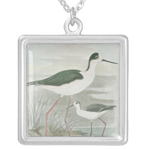 Black-Necked Stilts by the Water Silver Plated Necklace
