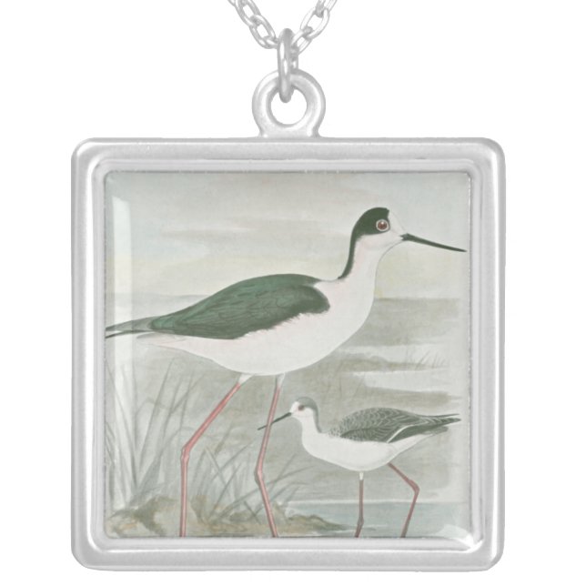 Black-Necked Stilts by the Water Silver Plated Necklace (Front)