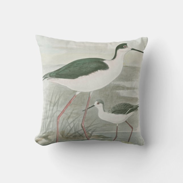 Black-Necked Stilts by the Water Throw Pillow (Front)