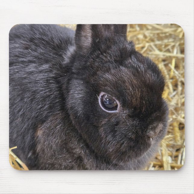 Black Netherland Dwarf Rabbit Mouse Pad (Front)
