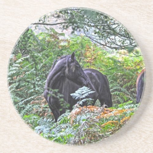Black New Forest Pony  Forest UK Coaster