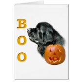 Black Newfoundland Boo (Front)