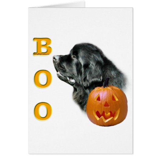 Black Newfoundland Boo Cards (Front)