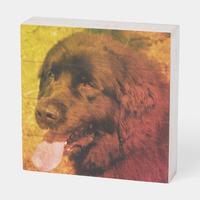 Black Newfoundland Dog Abstract Distressed Wooden Box Sign (Angled Horizontal)