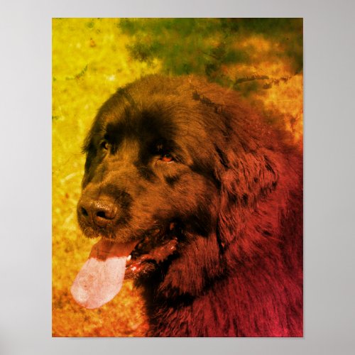Black Newfoundland Dog Abstract Grunge Poster