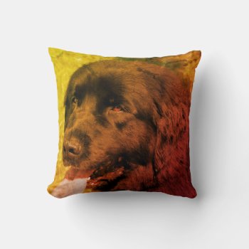 Black Newfoundland Dog Abstract Grunge  Throw Pillow by SmilinEyesTreasures at Zazzle
