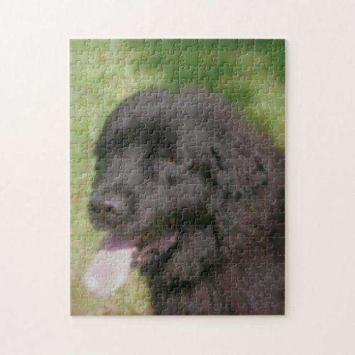 Black Newfoundland Dog Art  Jigsaw Puzzle