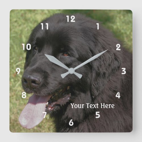 Black Newfoundland Dog Face Square Wall Clock