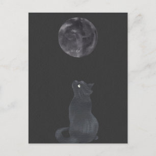 Black night Mystical moon cat Postcard