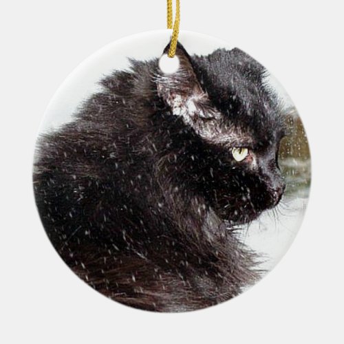 Black Norwegian Forest Cat in the Snow Ornament
