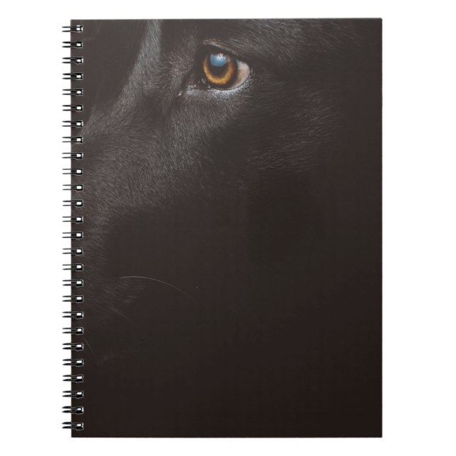 black notebook (Front)