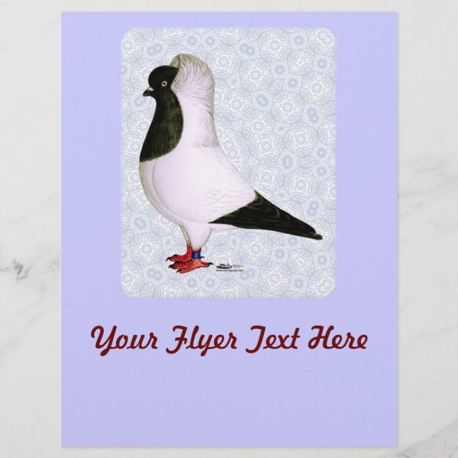 Black Nun Pigeon 1973 Flyer (Front)