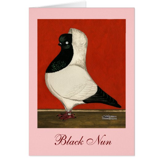 Black Nun Pigeon Cards (Front)