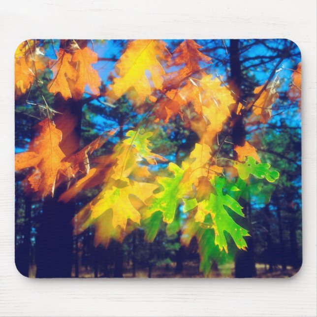 Black Oak Leaves blowing in the Wind Mouse Pad (Front)