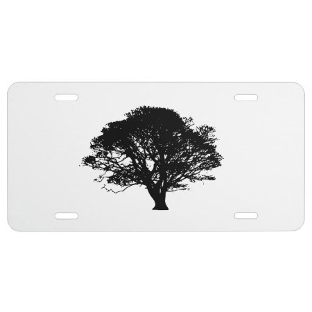 Black Oak Tree Gothic Fine Art Drawing License Plate