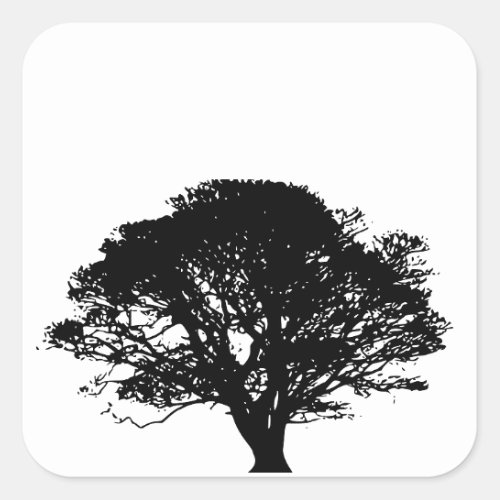 Black Oak Tree Gothic Fine Art Drawing Square Sticker